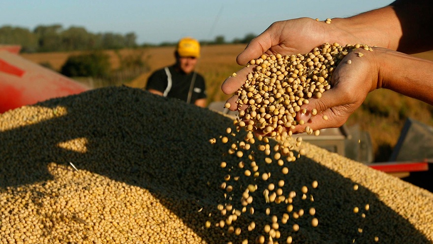 Agtech: "Lo que falta no es capital sino una mayor comunicación entre los diferentes actores del ecosistema"
