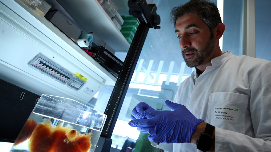 Los bioingenieros pueden desarrollarse en empresas de salud y farmacéuticas