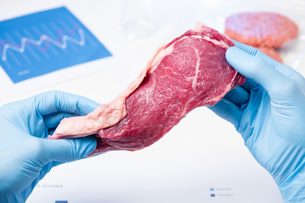 Carne artificial, la tendencia