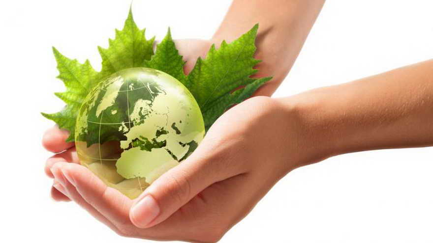 Los proyectos a presentar este año están muy relacionados con la temática de sustentabilidad