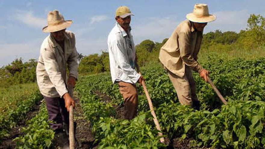 La falta de comunicación deja a muchos trabajadores del agro fuera del circuito