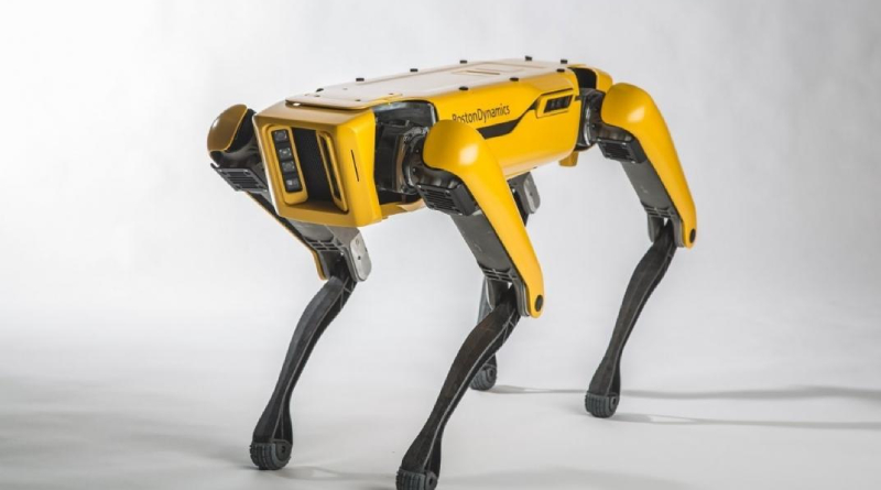 El perro robot