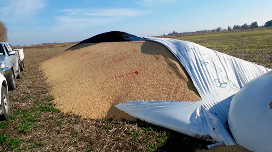 Se trata de una solución llave en mano que contempla la telemetría en silobolsa