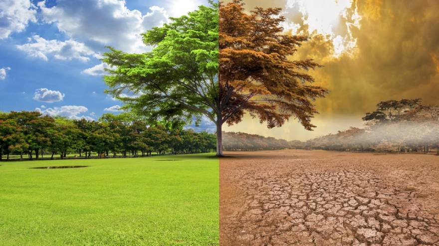Para Fink, la transición climática presenta una oportunidad histórica de inversión