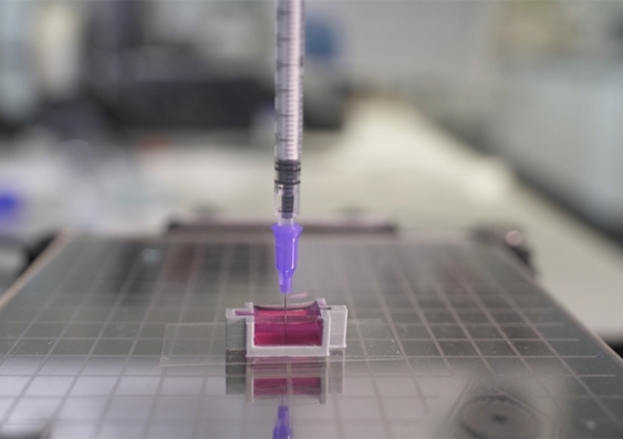 La impresión 3D de tejido óseo nuevo con células vivas acelerará la recuperación de los pacientes.