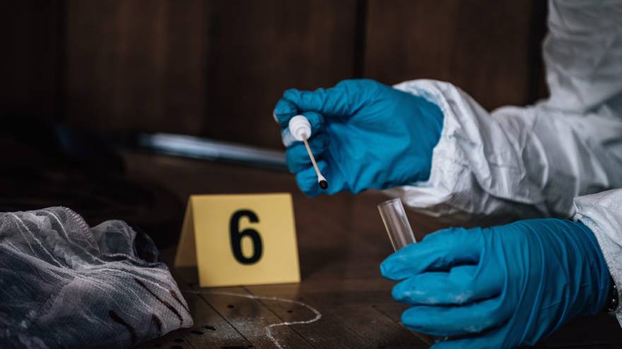 Un criminólogo analiza el delito y al delincuente de manera completa,