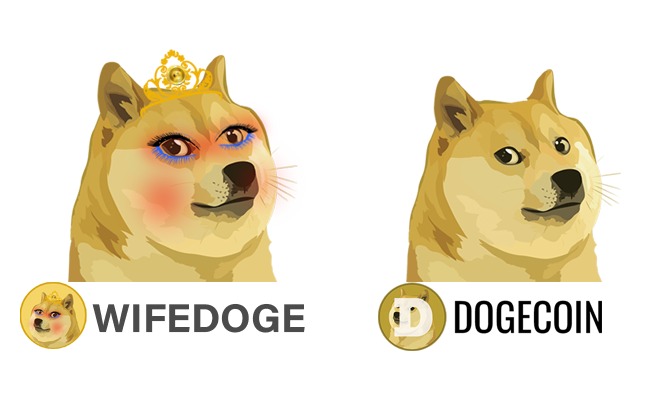 Wifedoge, la criptomoneda
