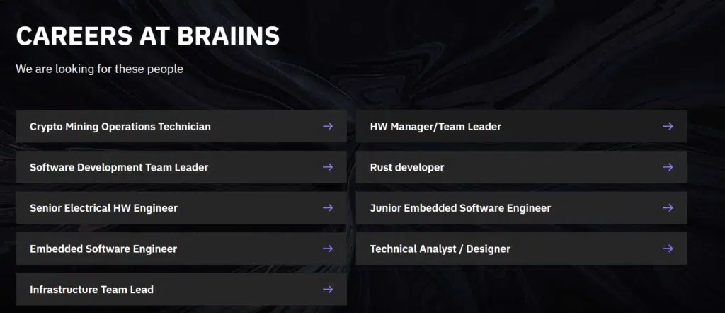 Estos son los puestos que Braiins ofrece. Fuente: CriptoNoticias