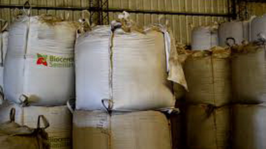 Biotecnología y sector agroindustrial, una combinación perfecta