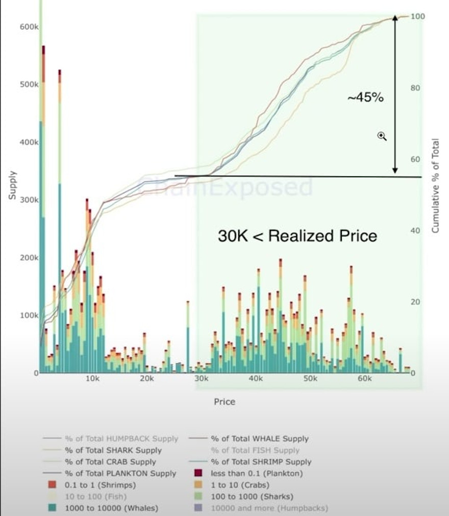 Casi la mitad de los BTC en circulación fueron comprados sobre los 30 mil dólares. Fuente: Bitcoin y Criptos/YouTube