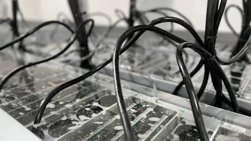 serán alimentadas directamente por la planta de energía nuclear local que produce unos 2,5 gigavatios.