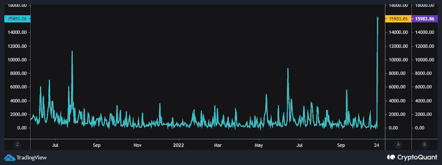 Así hasido el pico de contratosinteligentes en este último mes