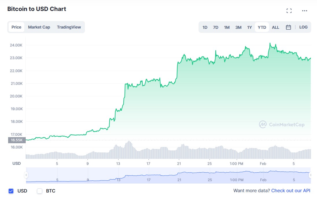 La variación del precio del Bitcoin en lo que va del año. Fuente: coinmarketcap.com.