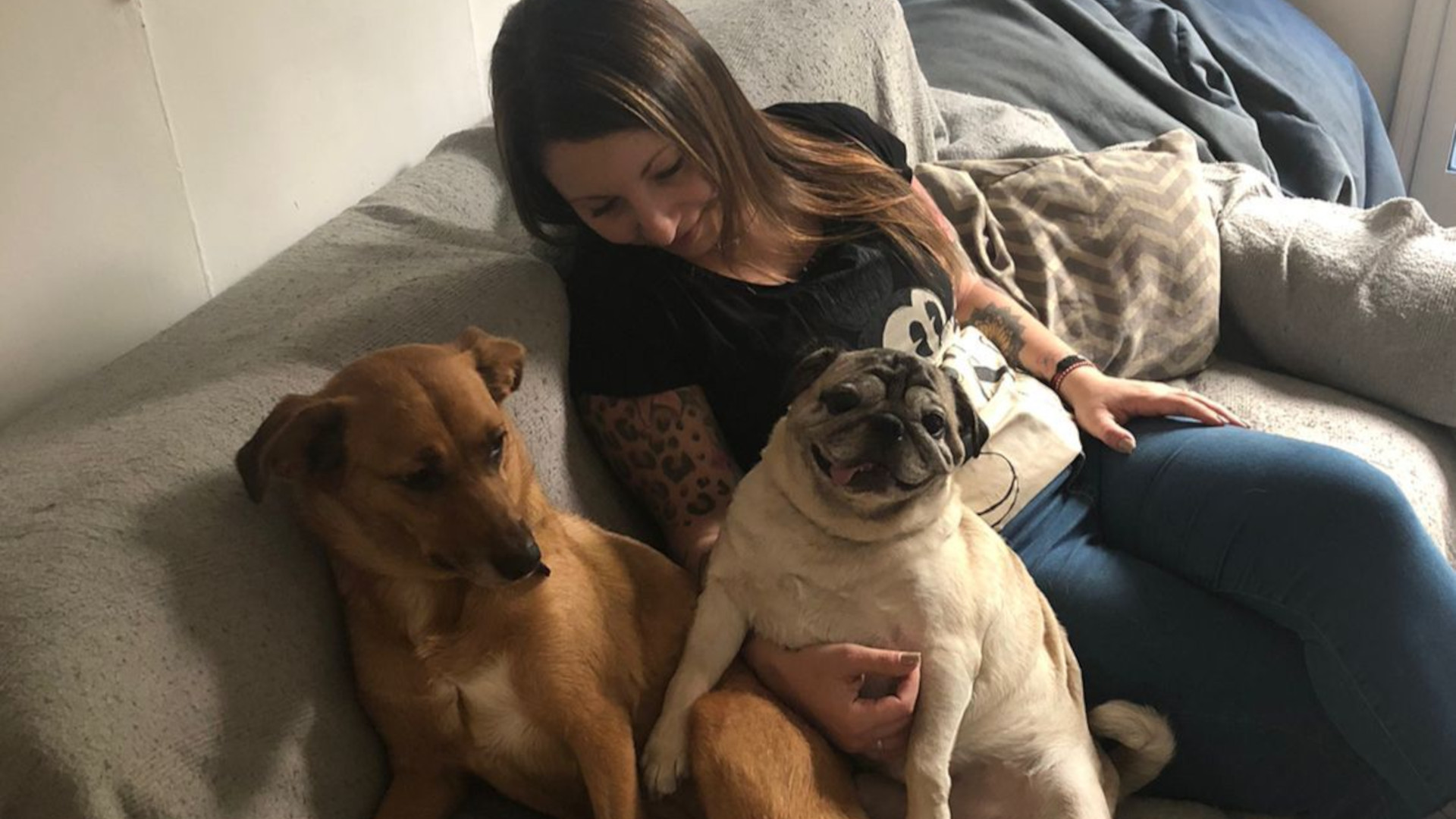 La app permite conocer a los mejores cuidadores de la zona y contratar sus servicios en pocos pasos