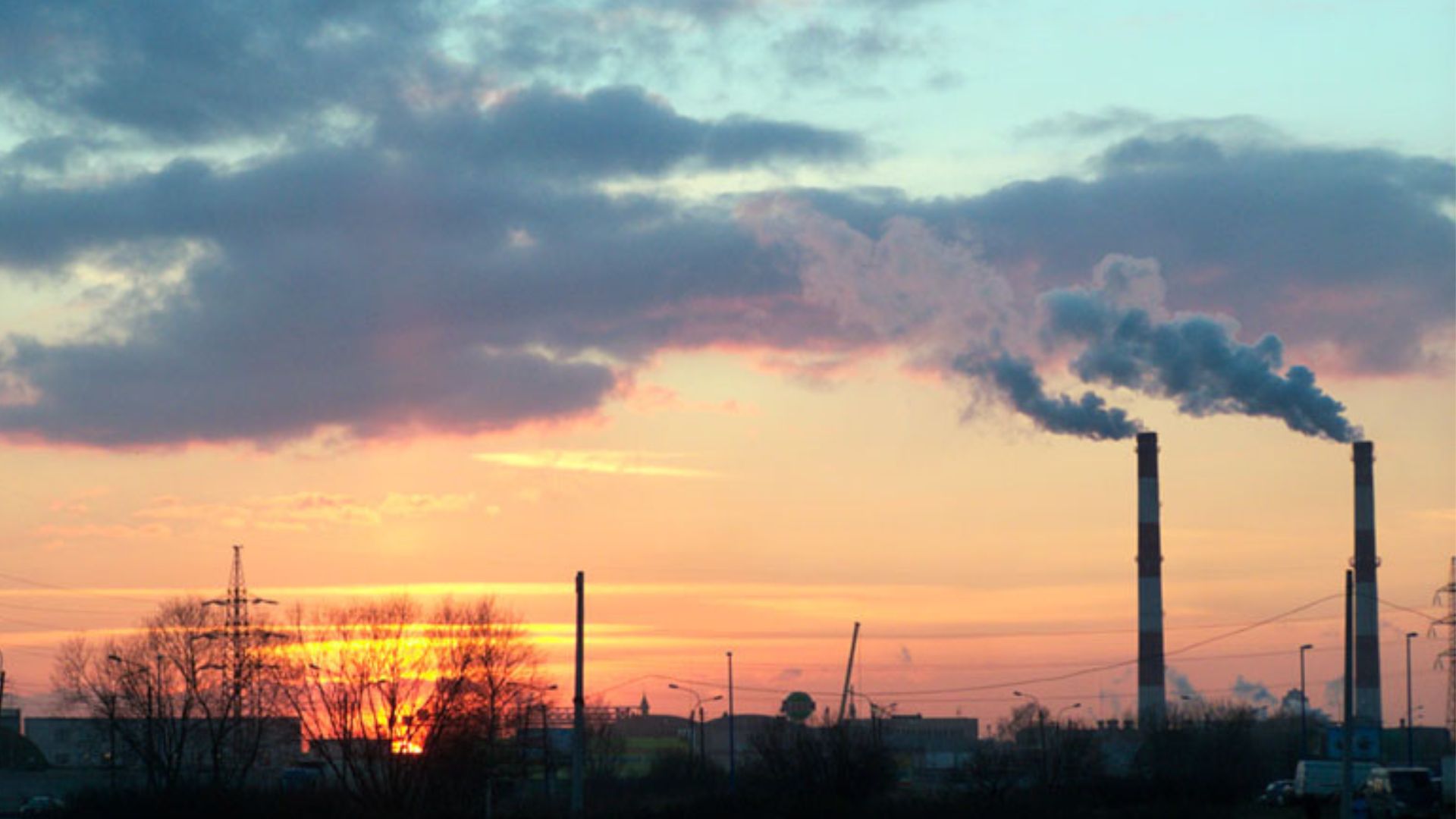 Existen diferentes acciones que las empresas pueden tomar para luchar contra el cambio climático