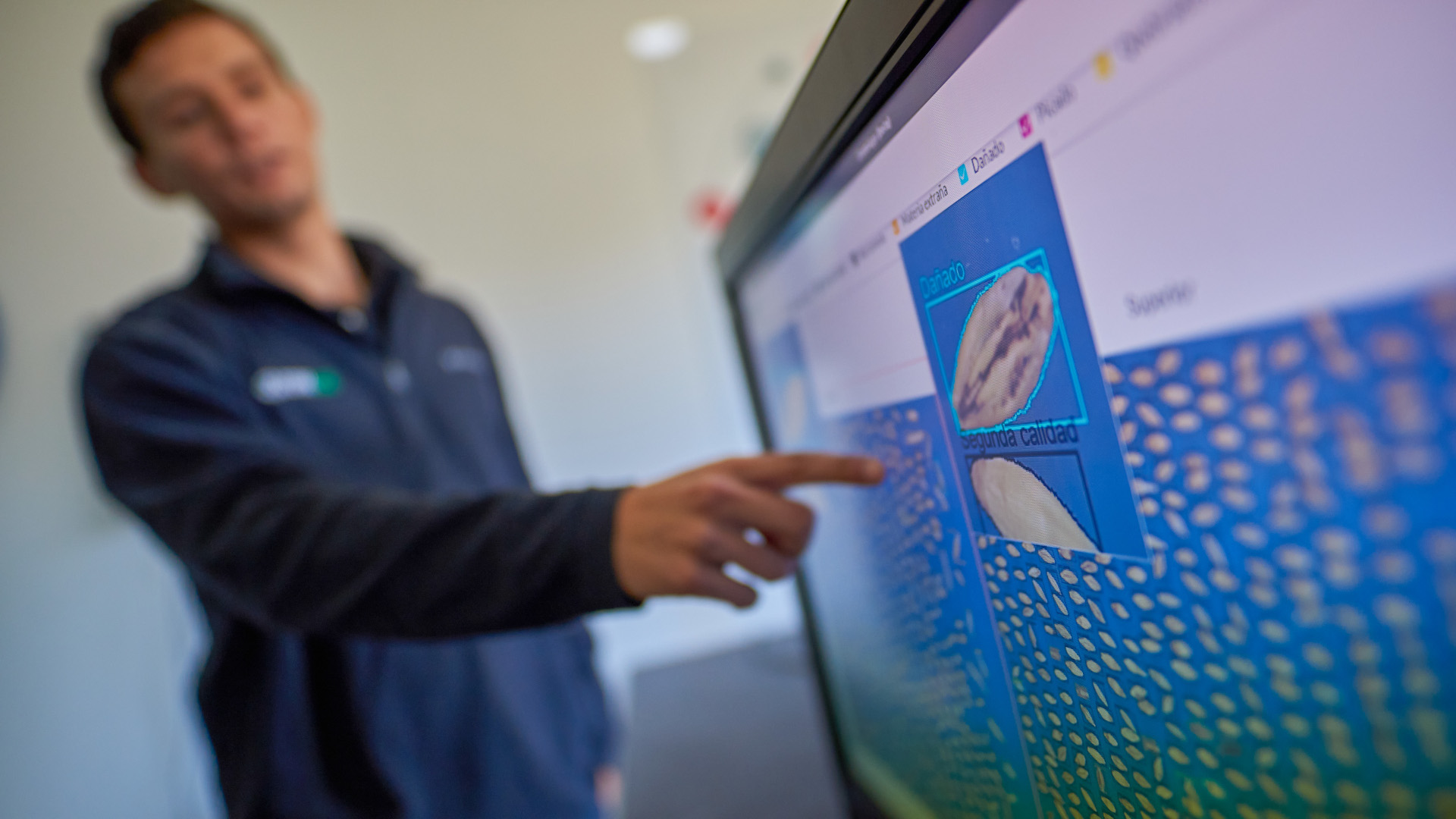 ZoomAgri analiza la calidad y pureza de los granos mediante fotos e inteligencia artificial