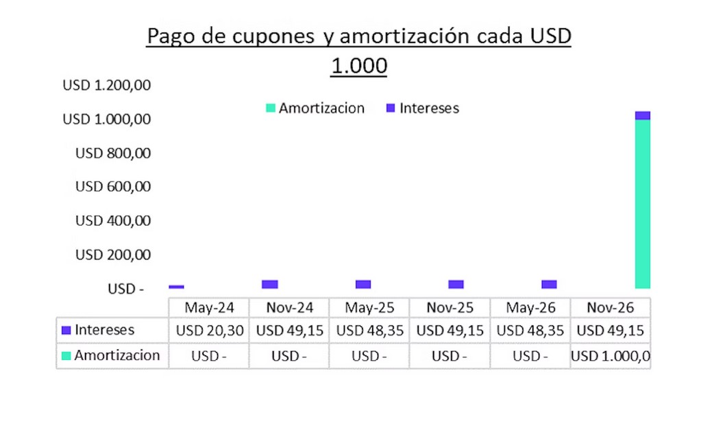 Cronograma de la ON de Edenor (Fuente: IOL)