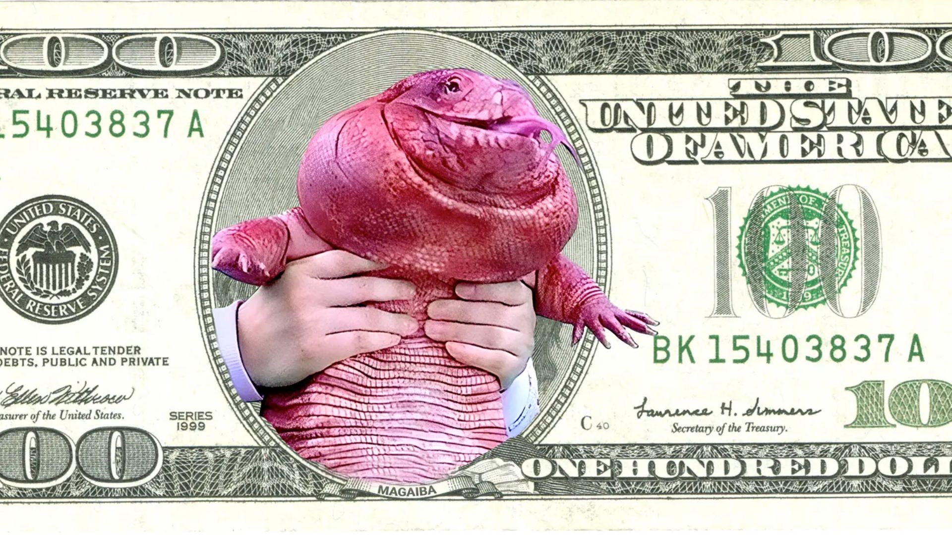 La imagen principal de $MAGAIBA en Solana