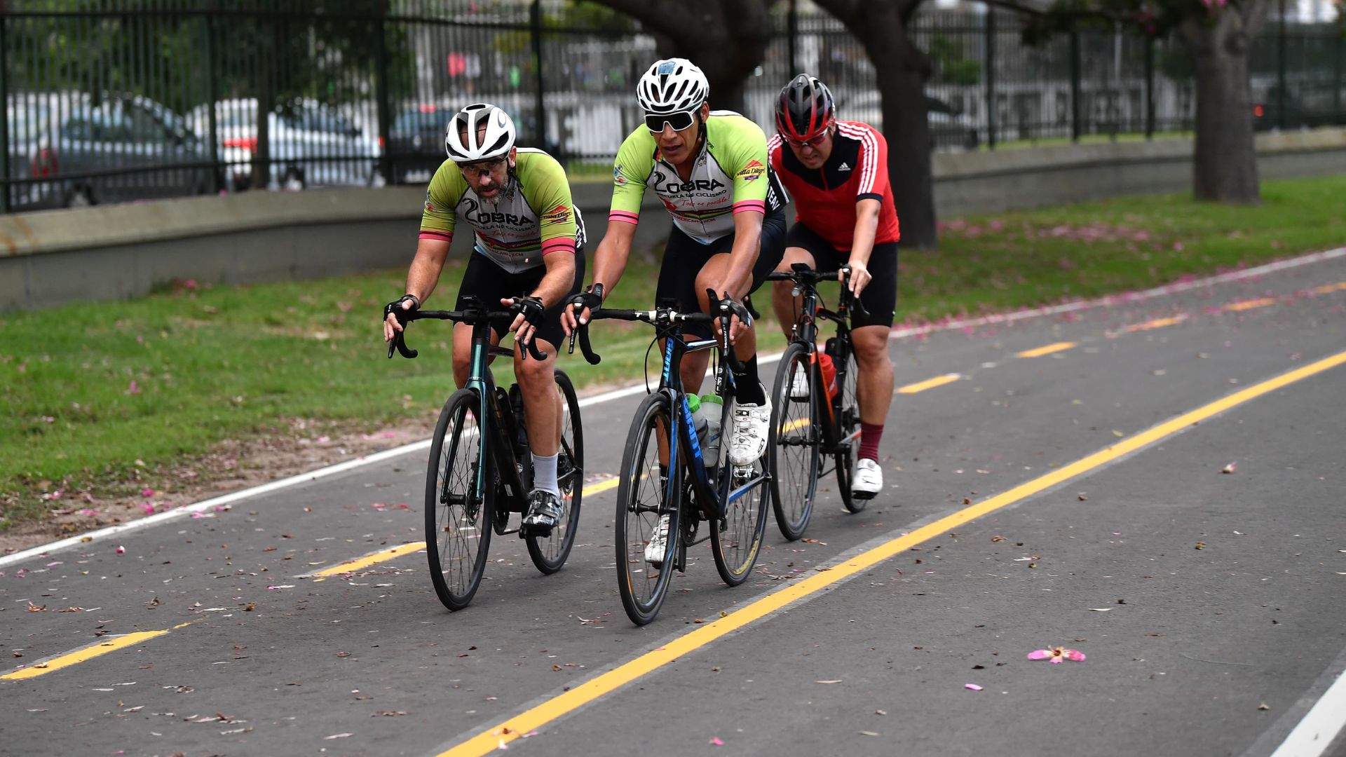 Quitan regulaciones para facilitar la importación de bicicletas