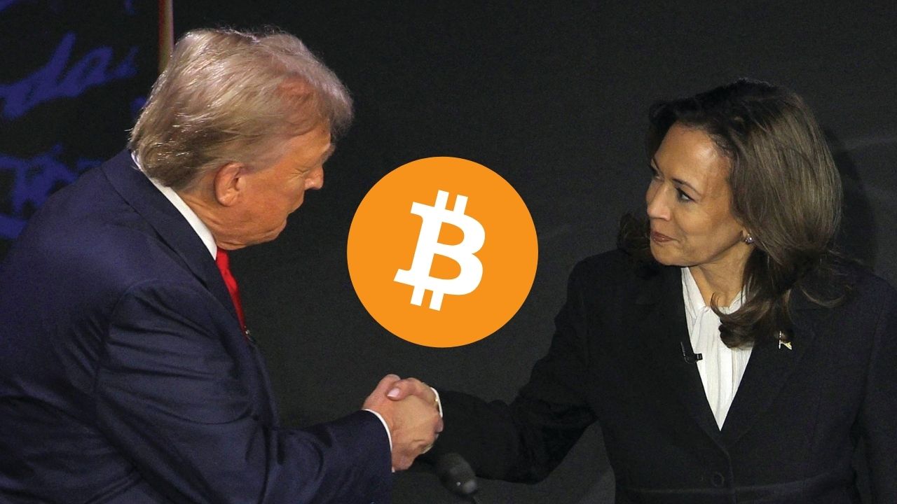 La comunidad cripto esperaba que Trump fuese el vencedor de las elecciones en EE.UU.