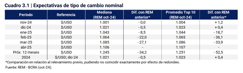Las expectativas sobre el tipo de cambio según el REM del BCRA