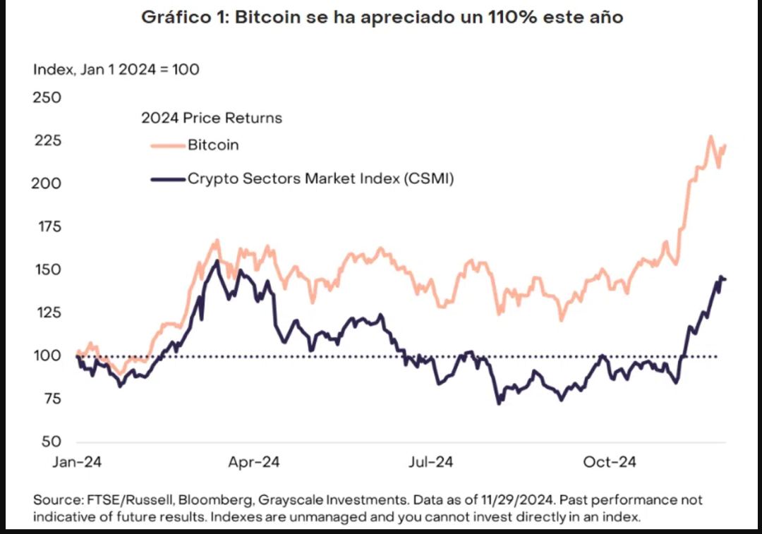 Apreciación de bitcoin en el año