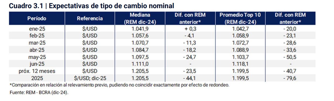 Las expectativas sobre el dólar para 2025