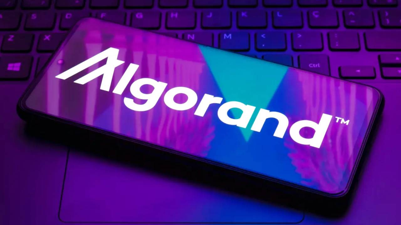 Las transacciones en Algorand aumentan por sobre el 65% en la última semana
