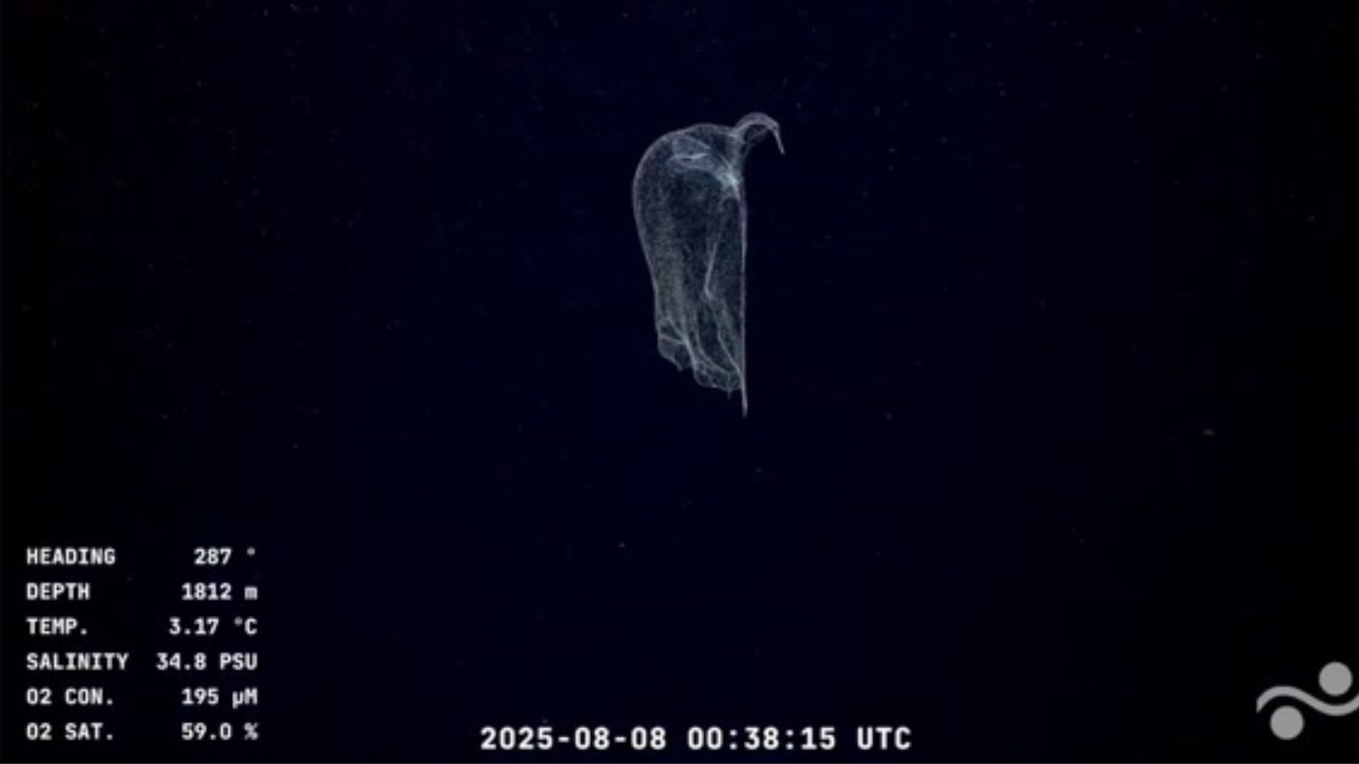 Fuente: streaming Conicet