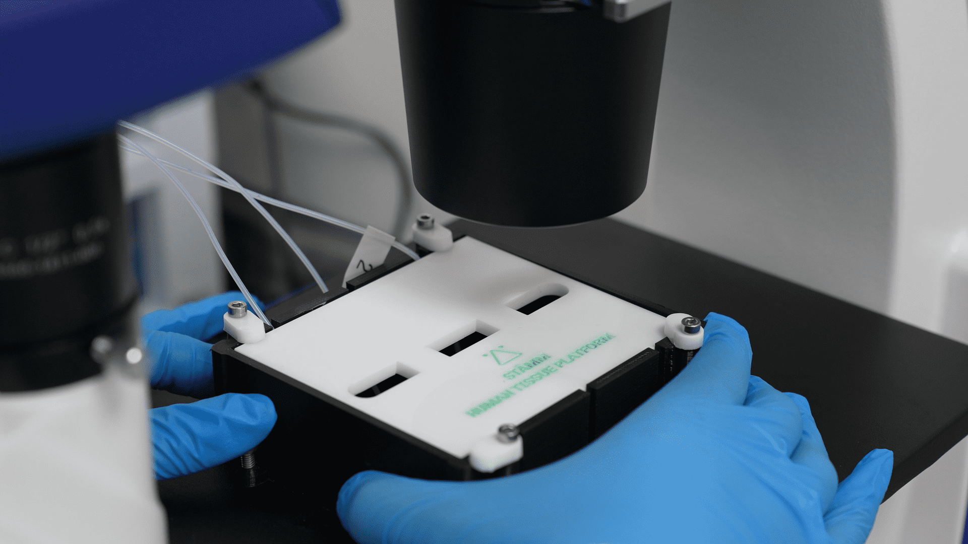 Stämm se encarga de producir anticuerpos y terapias celulares, entre otros desarrollos